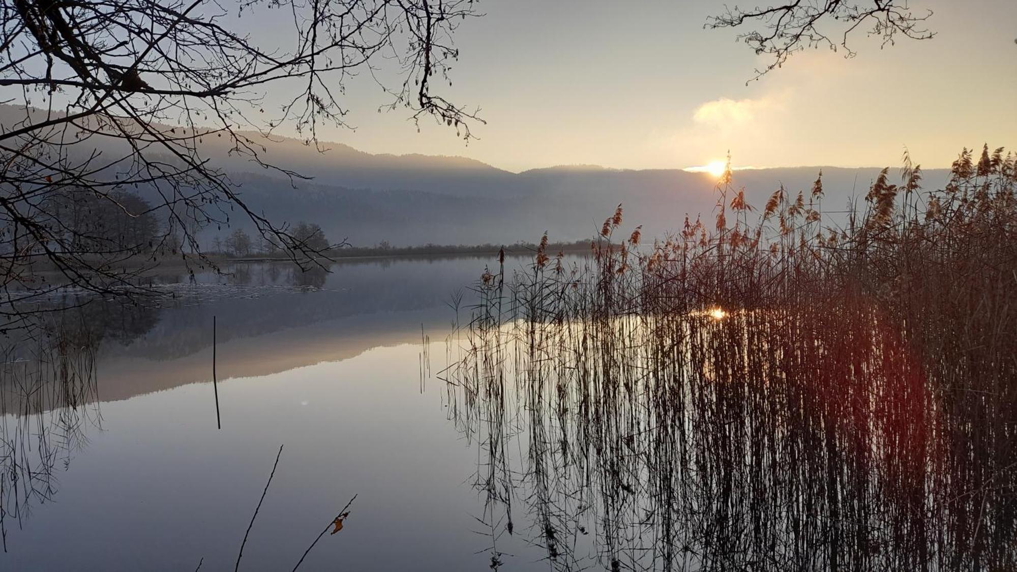 Haus Panorama Hotel Keutschach am See Eksteriør billede